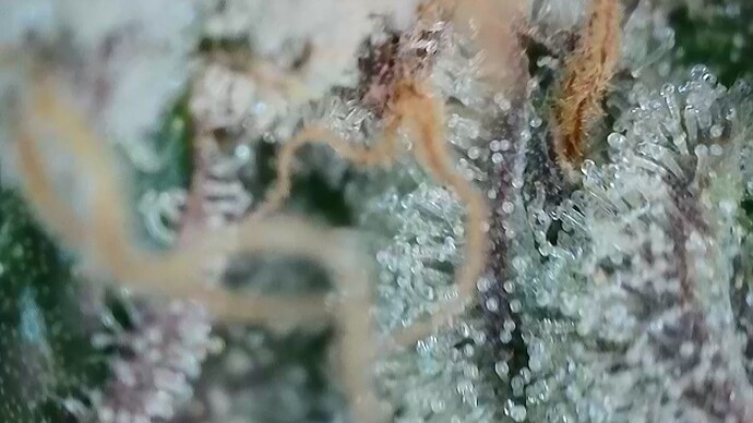 Growreport Bild 23