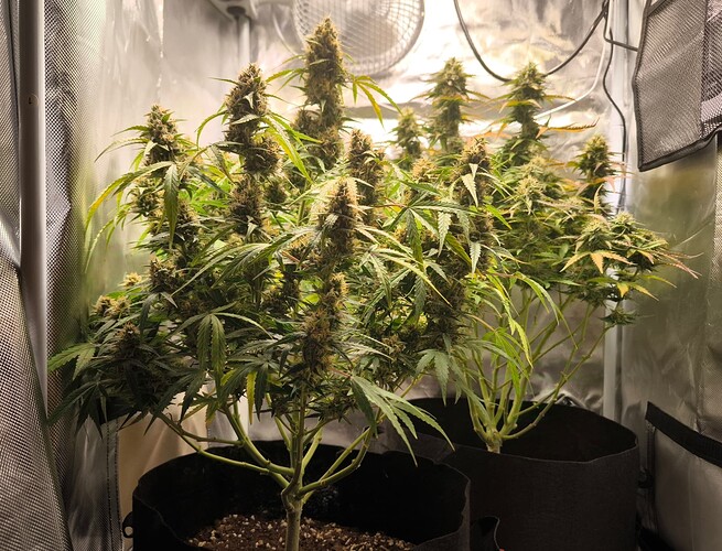 Growreport Bild 30