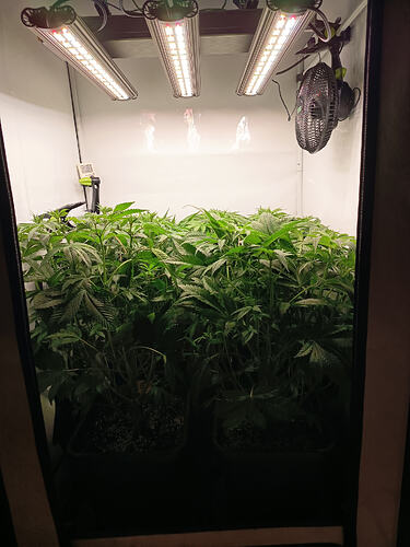 Growreport Bild 15