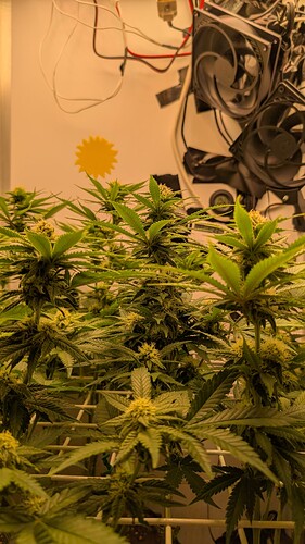 Growreport Bild 13