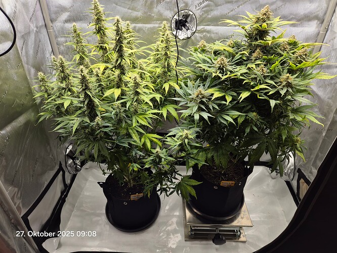Growreport Bild 24