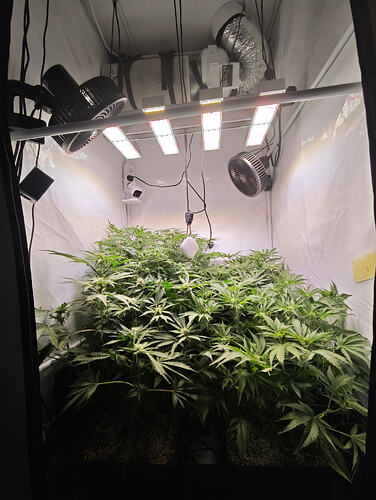 Growreport Bild 6