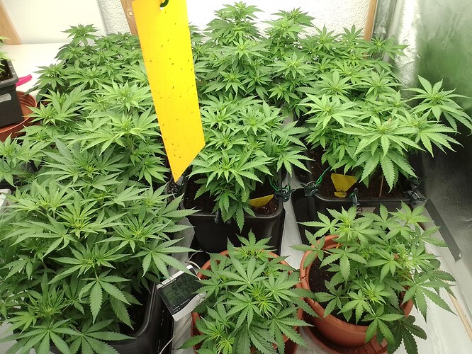 Growreport Bild 14