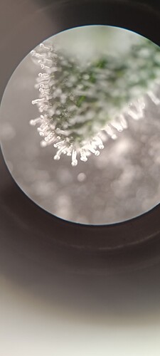 Growreport Bild 1
