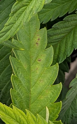 Growreport Bild 18