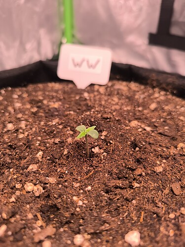 Growreport Bild 45