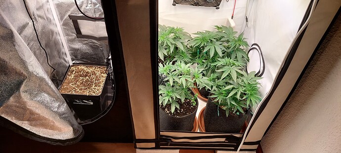 Growreport Bild 8