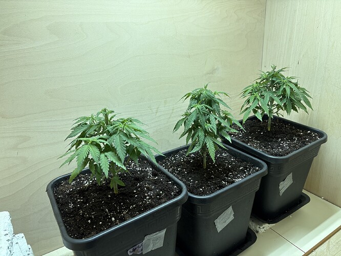 Growreport Bild 14