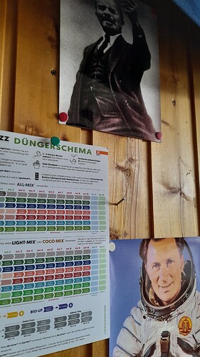 Growreport Bild 26