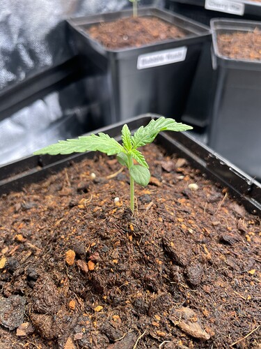 Growreport Bild 16