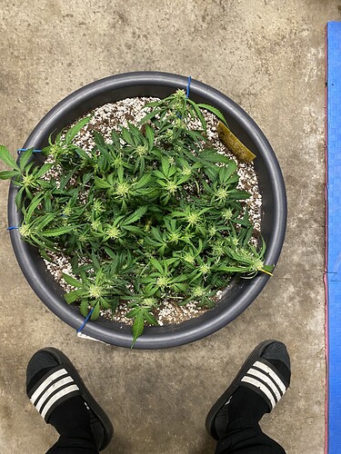 Growreport Bild 10