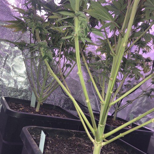 Growreport Bild 12