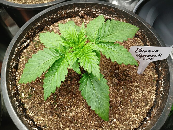 Growreport Bild 7