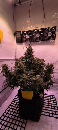 Growreport Bild 8