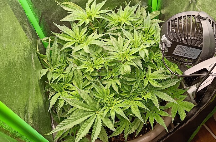 Growreport Bild 7