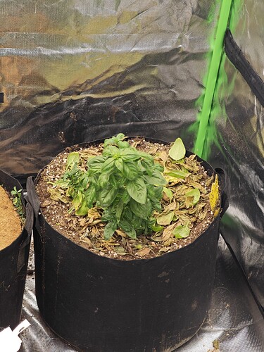Growreport Bild 15