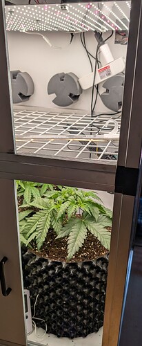 PXL_20250410_094254141.MP~2