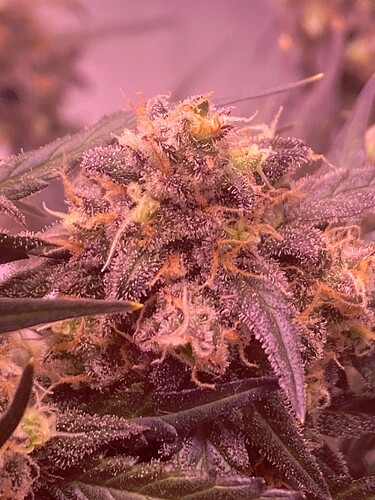 Growreport Bild 10