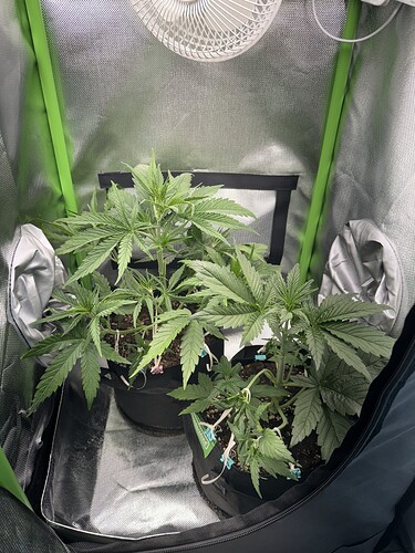 Growreport Bild 11