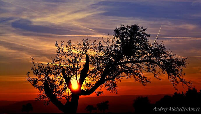 schoene-abendstimmung-7a2a8001-ab92-4877-be38-63971756356a