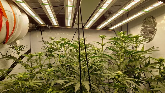 Growreport Bild 5
