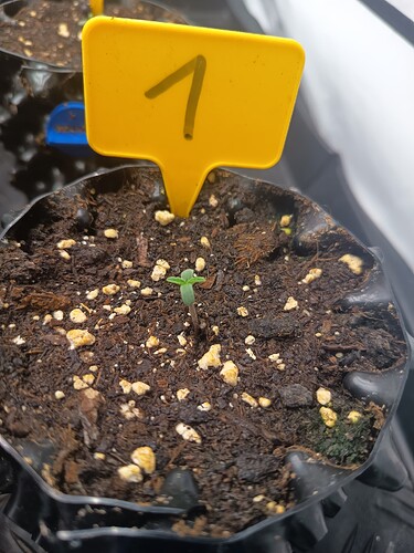 Growreport Bild 23