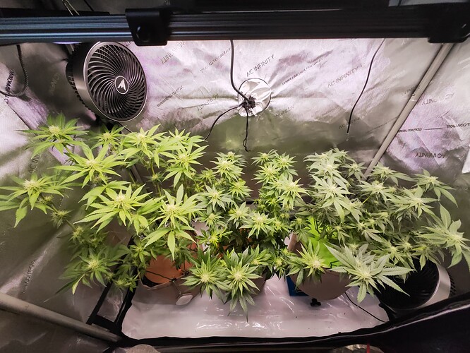 Growreport Bild 12
