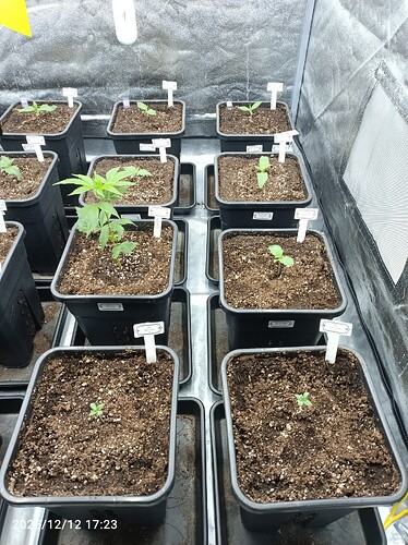 Growreport Bild 9