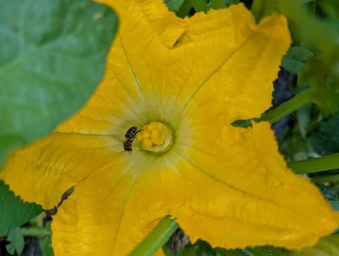 Growreport Bild 19