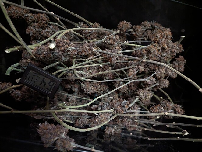 Growreport Bild 8