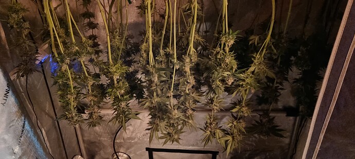 Growreport Bild 17