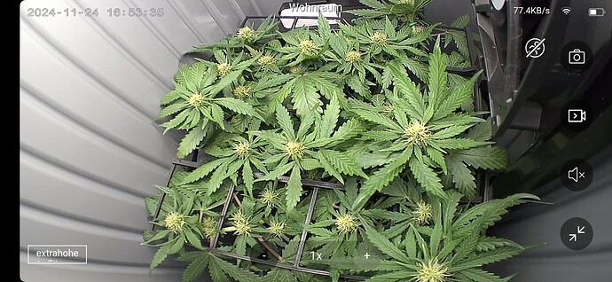 Screenshot_20241124_165336_O-KAM Pro