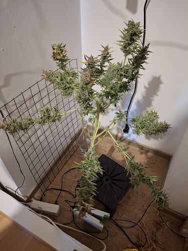 Growreport Bild 9