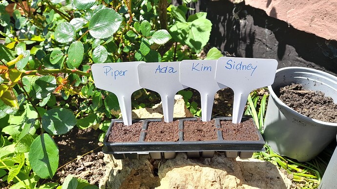 Growreport Bild 19