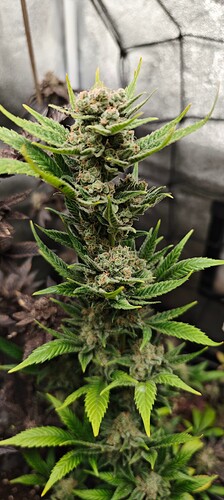 Growreport Bild 22