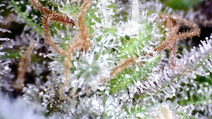 WIN_20241101_08_53_18_Pro