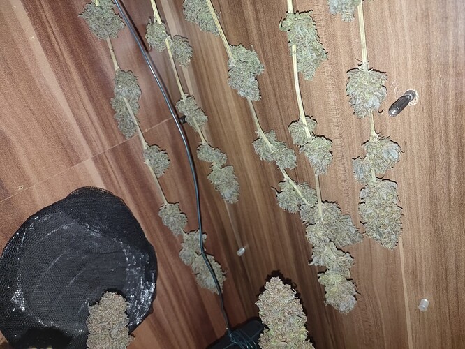 Growreport Bild 47