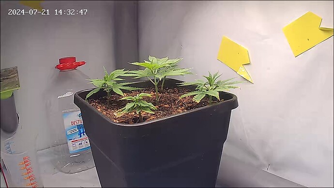 a60462d8ad984f4400731a4bb1a70a83_20240721_143249