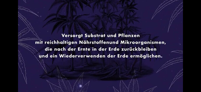 Growreport Bild 17