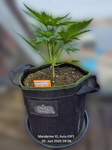 Growreport Bild 11