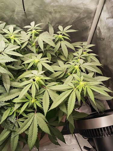 Growreport Bild 6