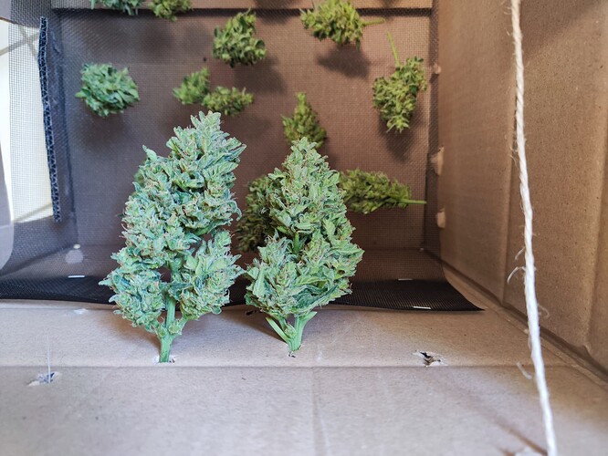 Growreport Bild 21