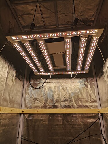 IMG_20241026_1325461