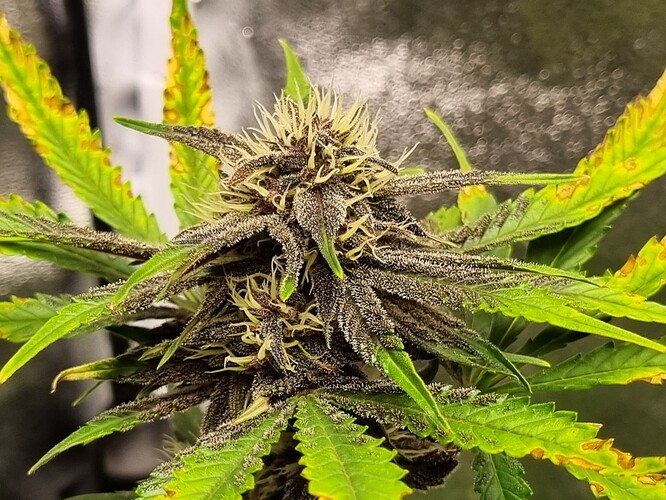 Growreport Bild 23