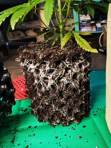 Growreport Bild 14
