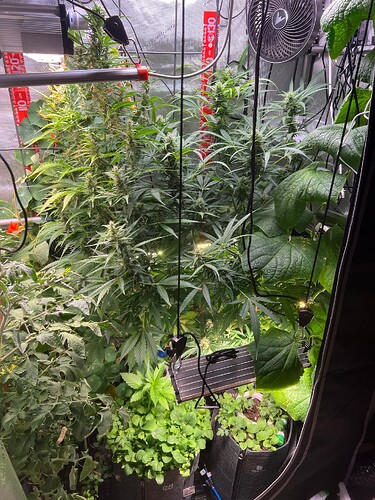 Growreport Bild 20