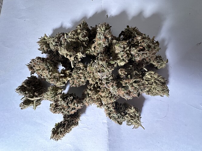 Growreport Bild 8