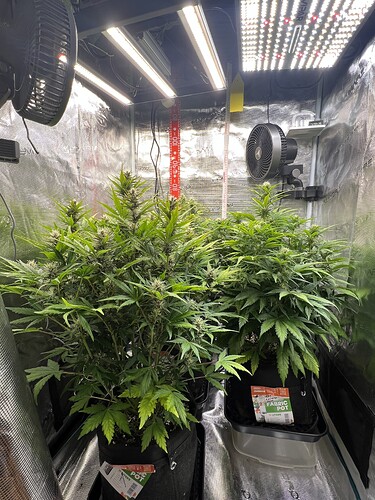 Growreport Bild 11