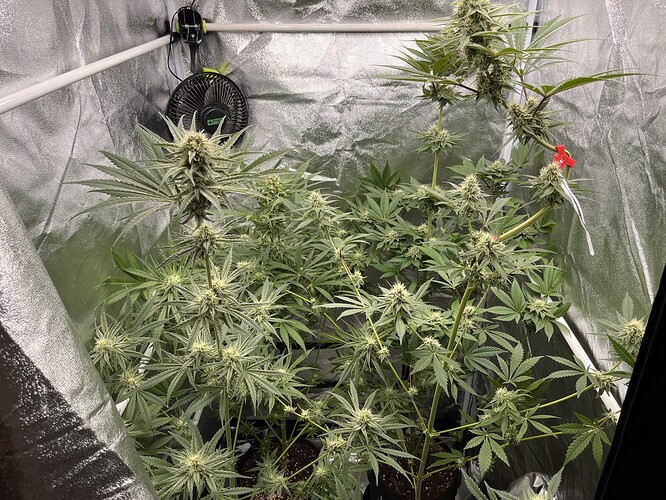 Growreport Bild 10