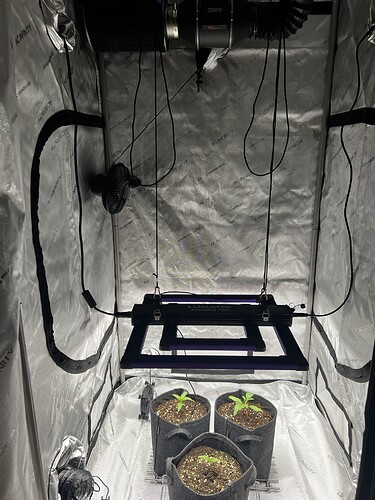 Growreport Bild 16